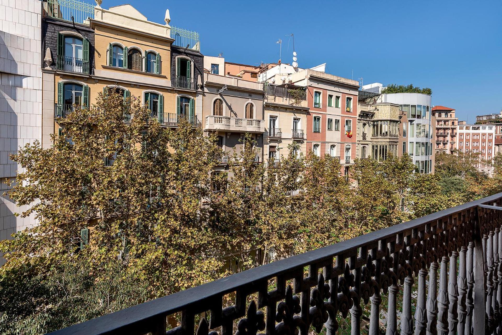Limonaia, Barcelona